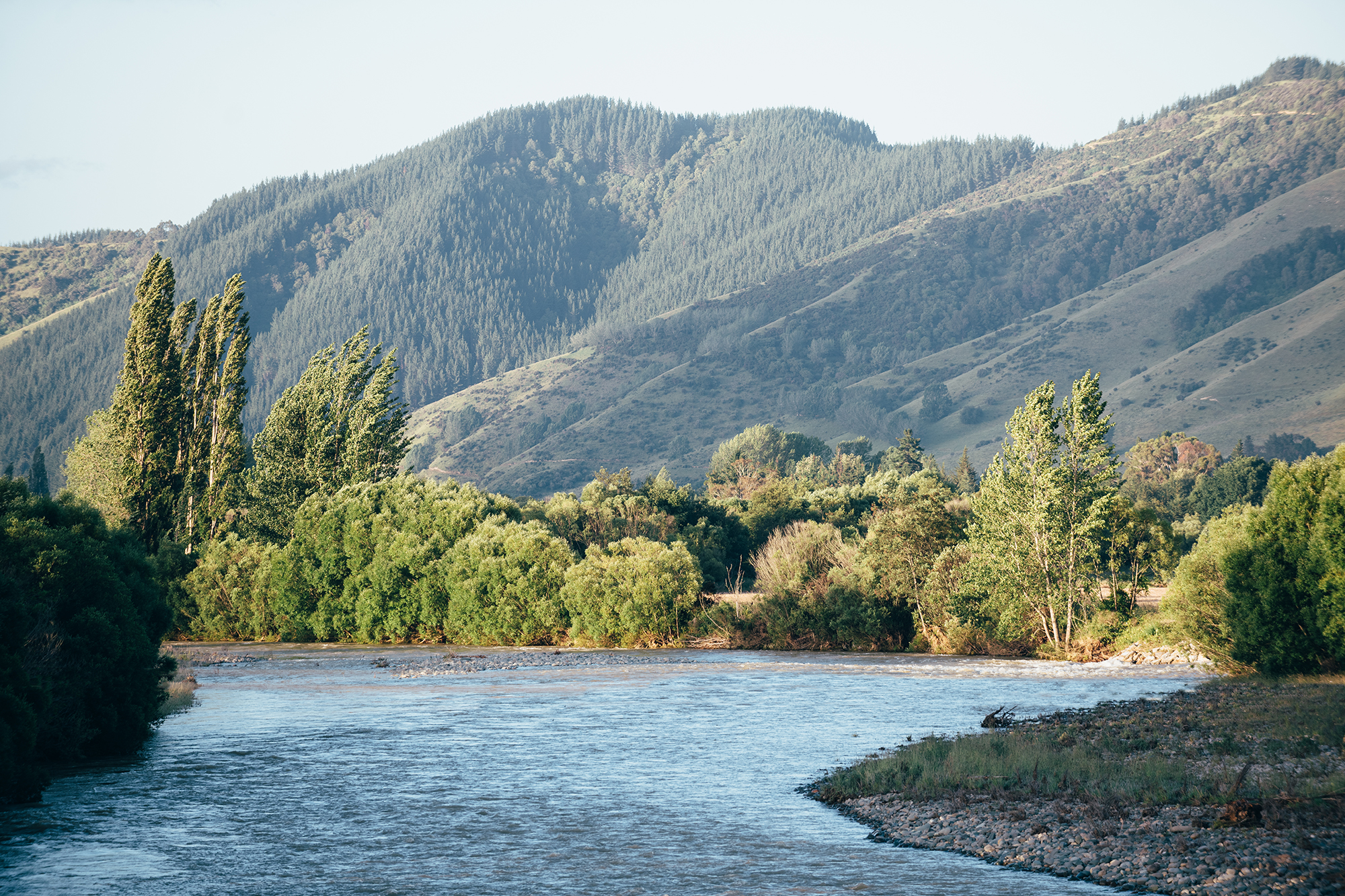 HopRevolution_Motueka_River_4